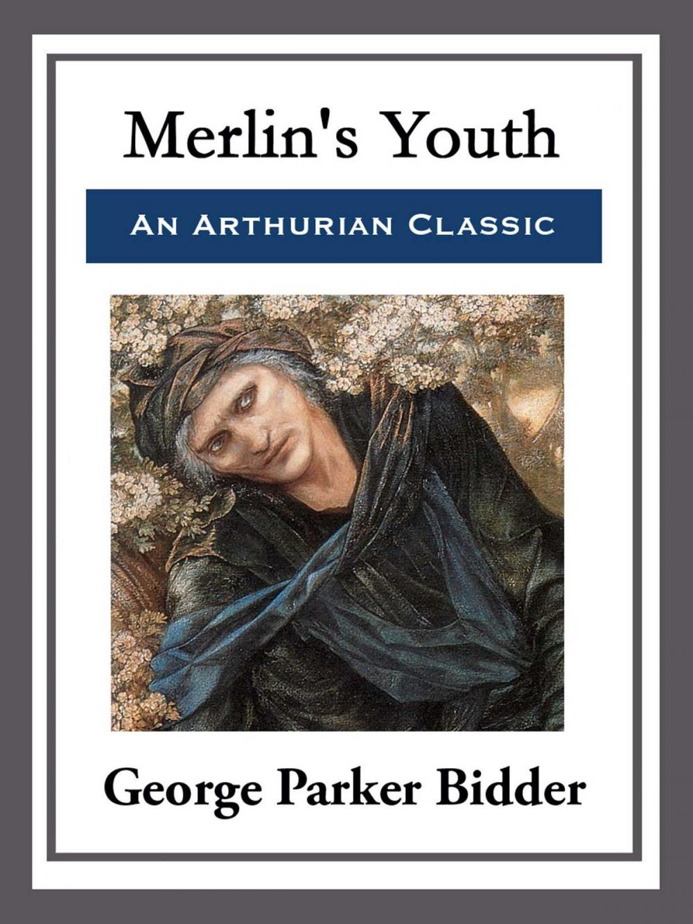 Big bigCover of Merlin's Youth