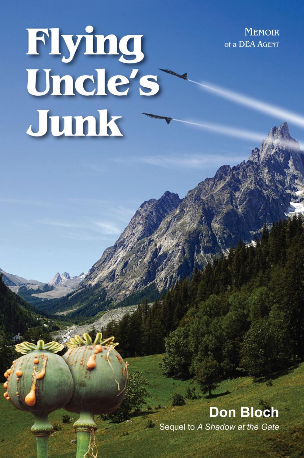 Big bigCover of Flying Uncle's Junk
