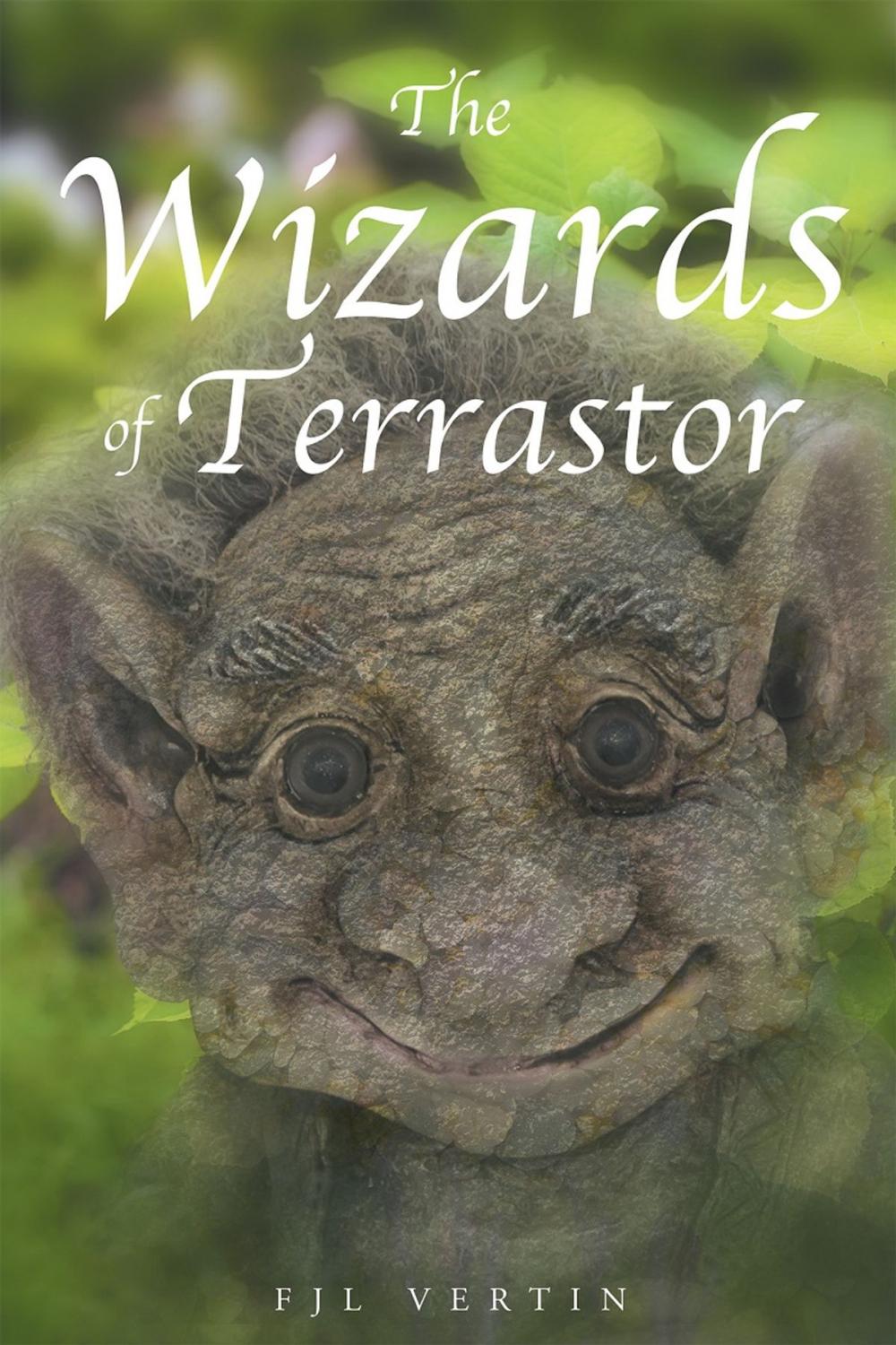 Big bigCover of The Wizards of Terrastor