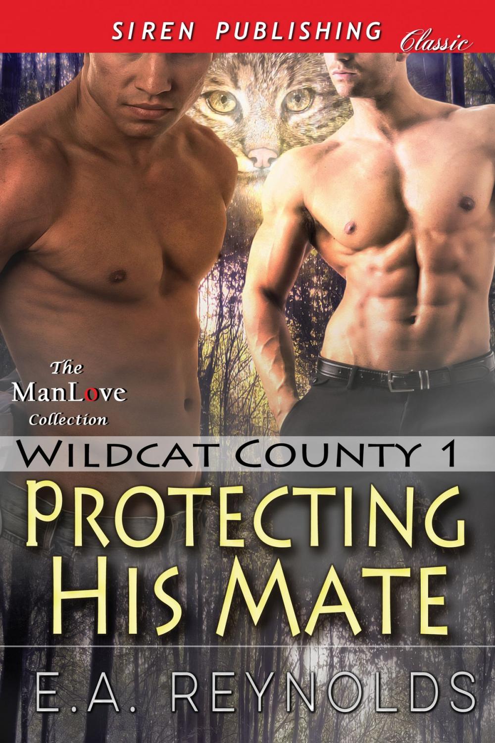 Big bigCover of Protecting His Mate