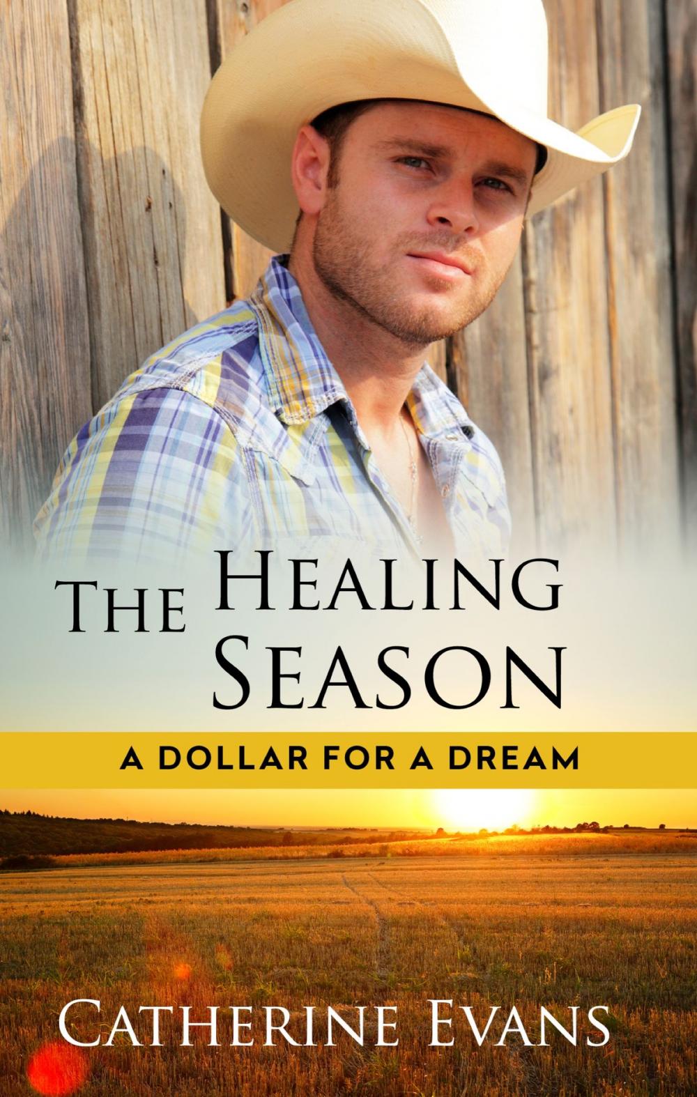 Big bigCover of The Healing Season