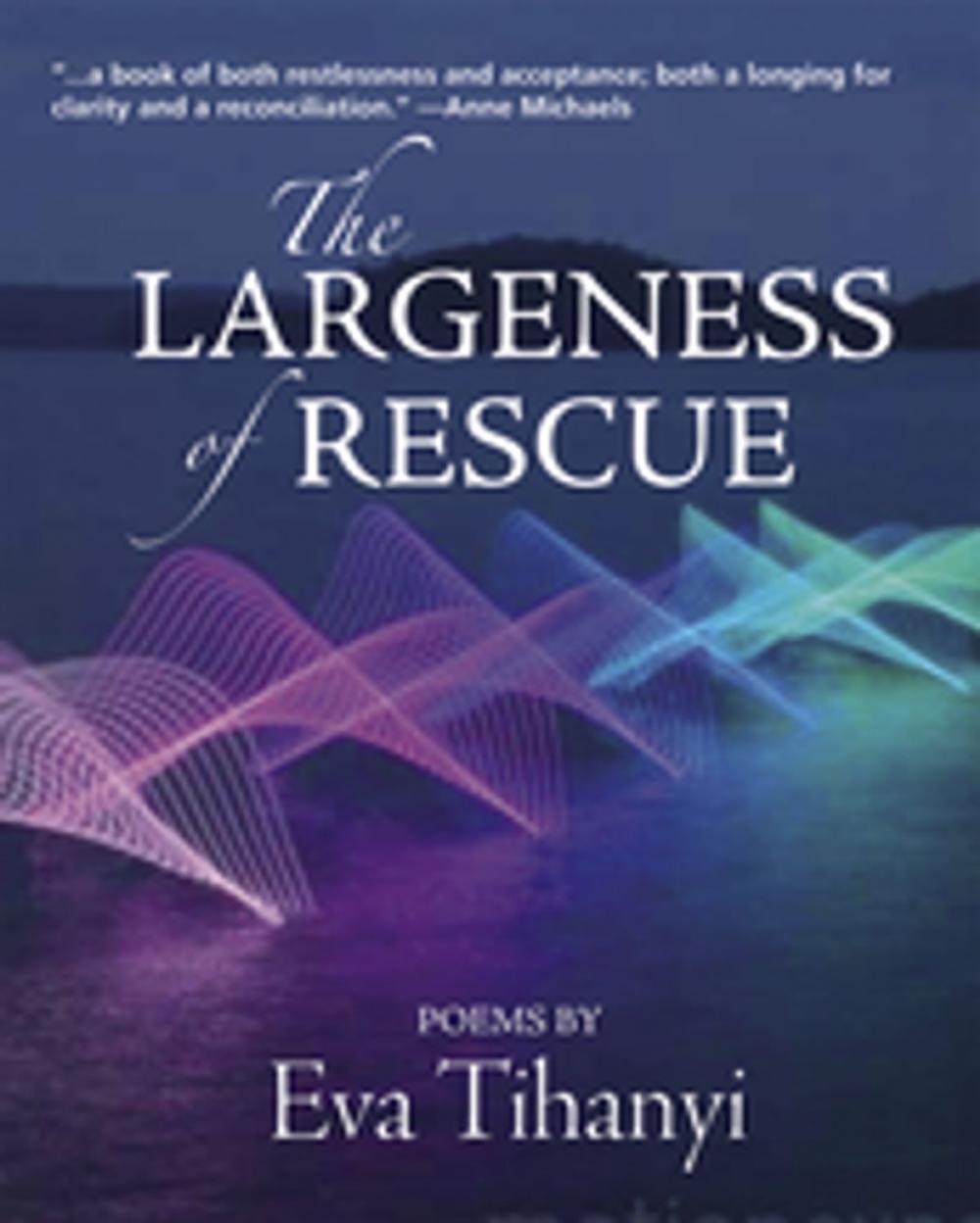 Big bigCover of The Largeness of Rescue