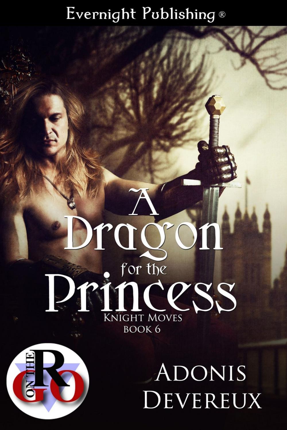 Big bigCover of A Dragon for the Princess