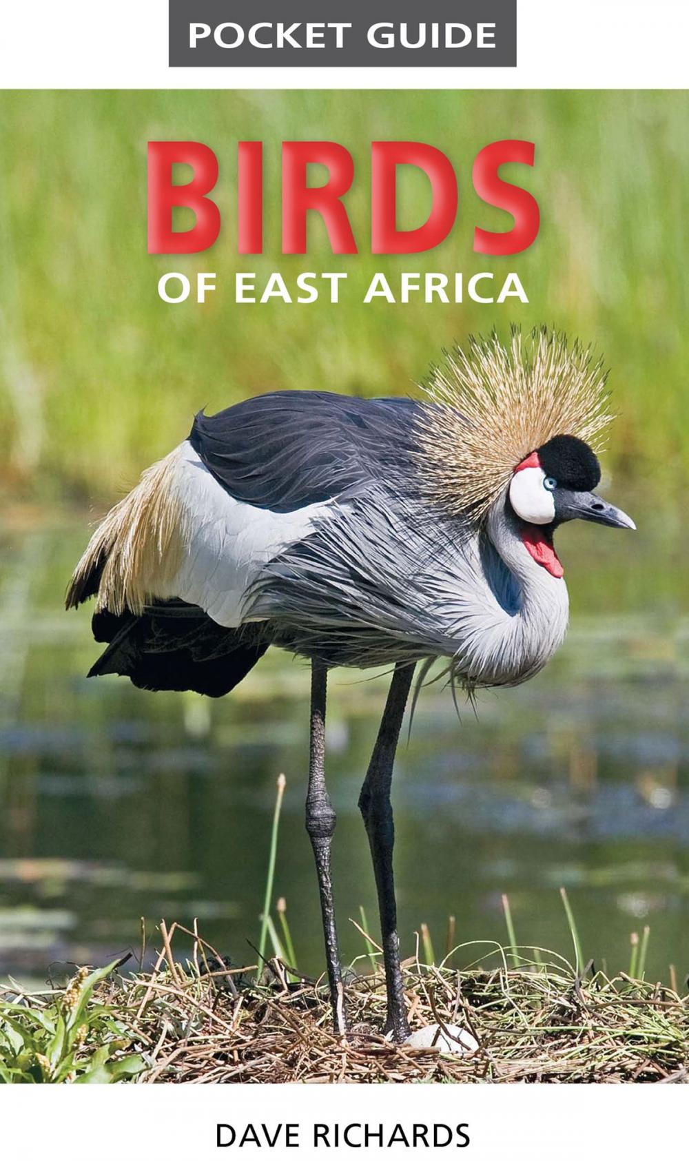 Big bigCover of Pocket Guide to Birds of East Africa