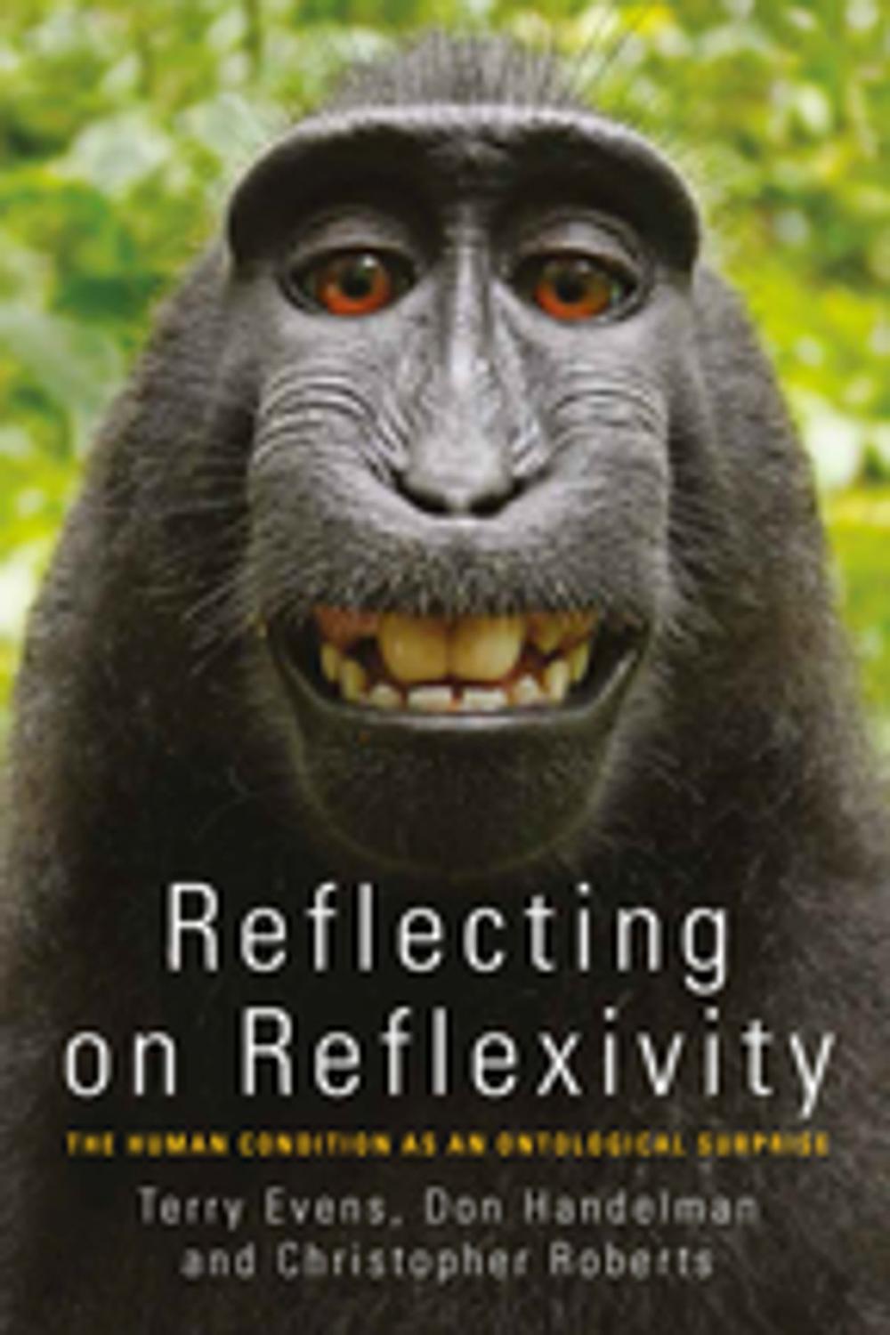 Big bigCover of Reflecting on Reflexivity