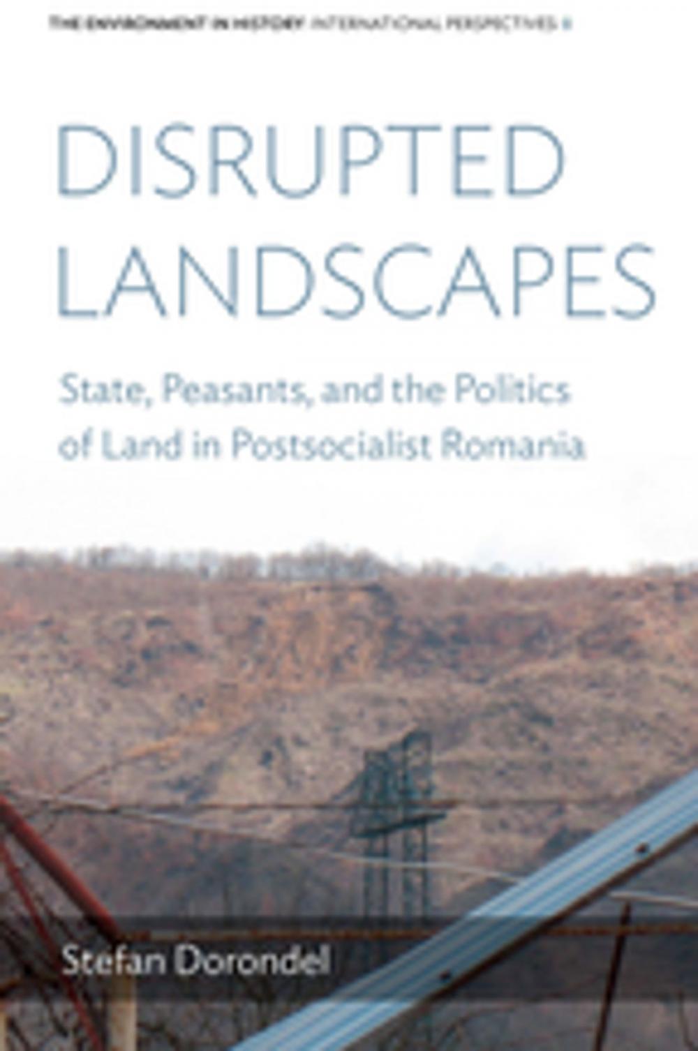 Big bigCover of Disrupted Landscapes