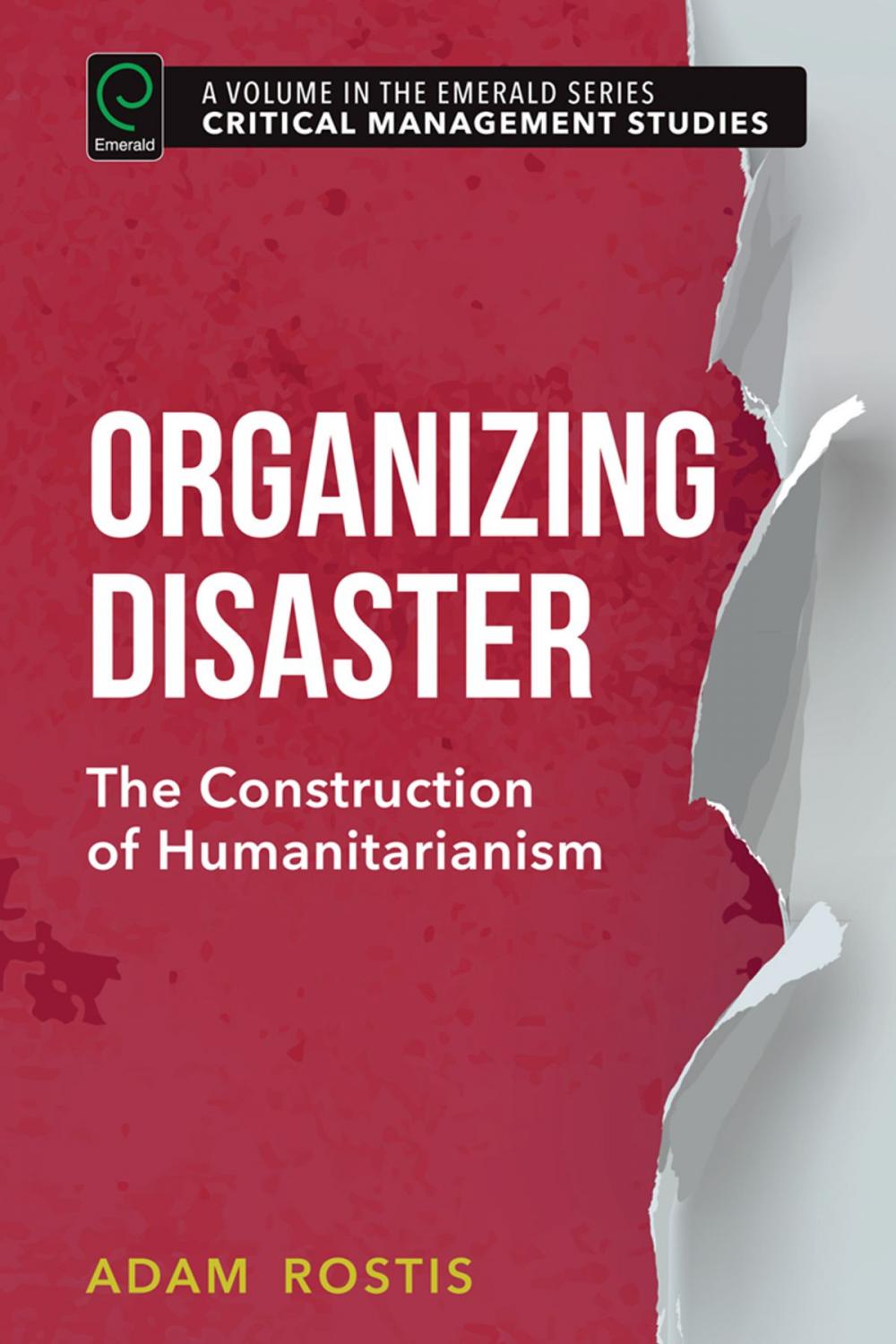 Big bigCover of Organizing Disaster