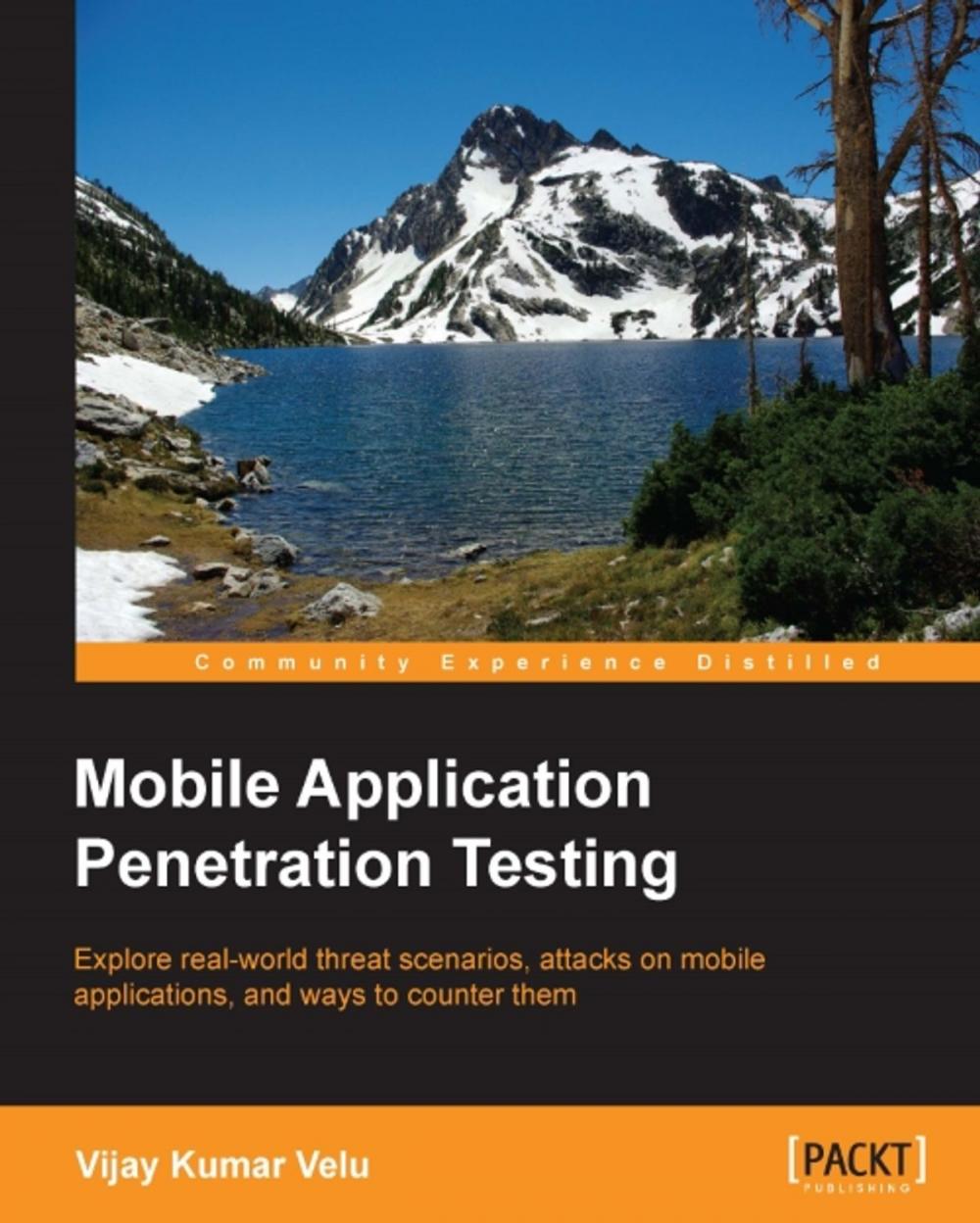 Big bigCover of Mobile Application Penetration Testing