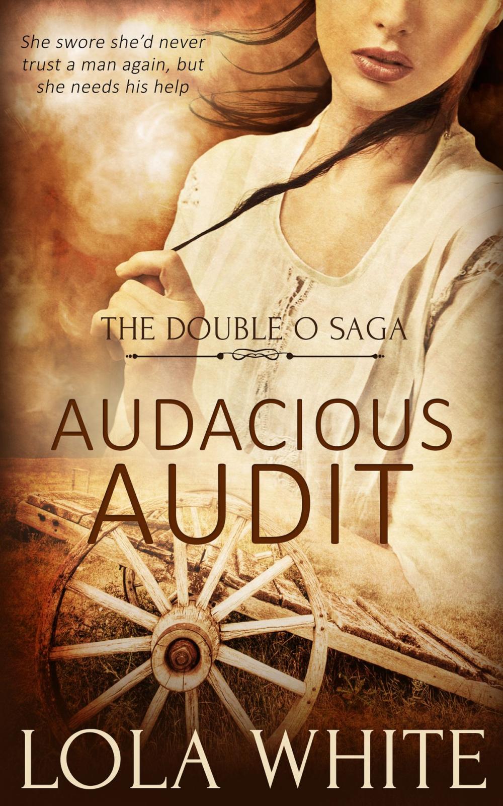 Big bigCover of Audacious Audit