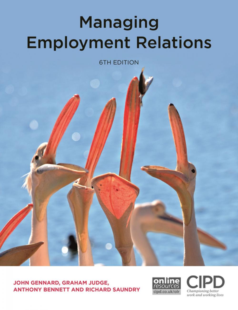 Big bigCover of Managing Employment Relations