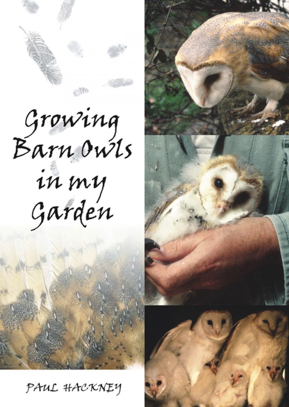 Big bigCover of Growing Barn Owls in My Garden