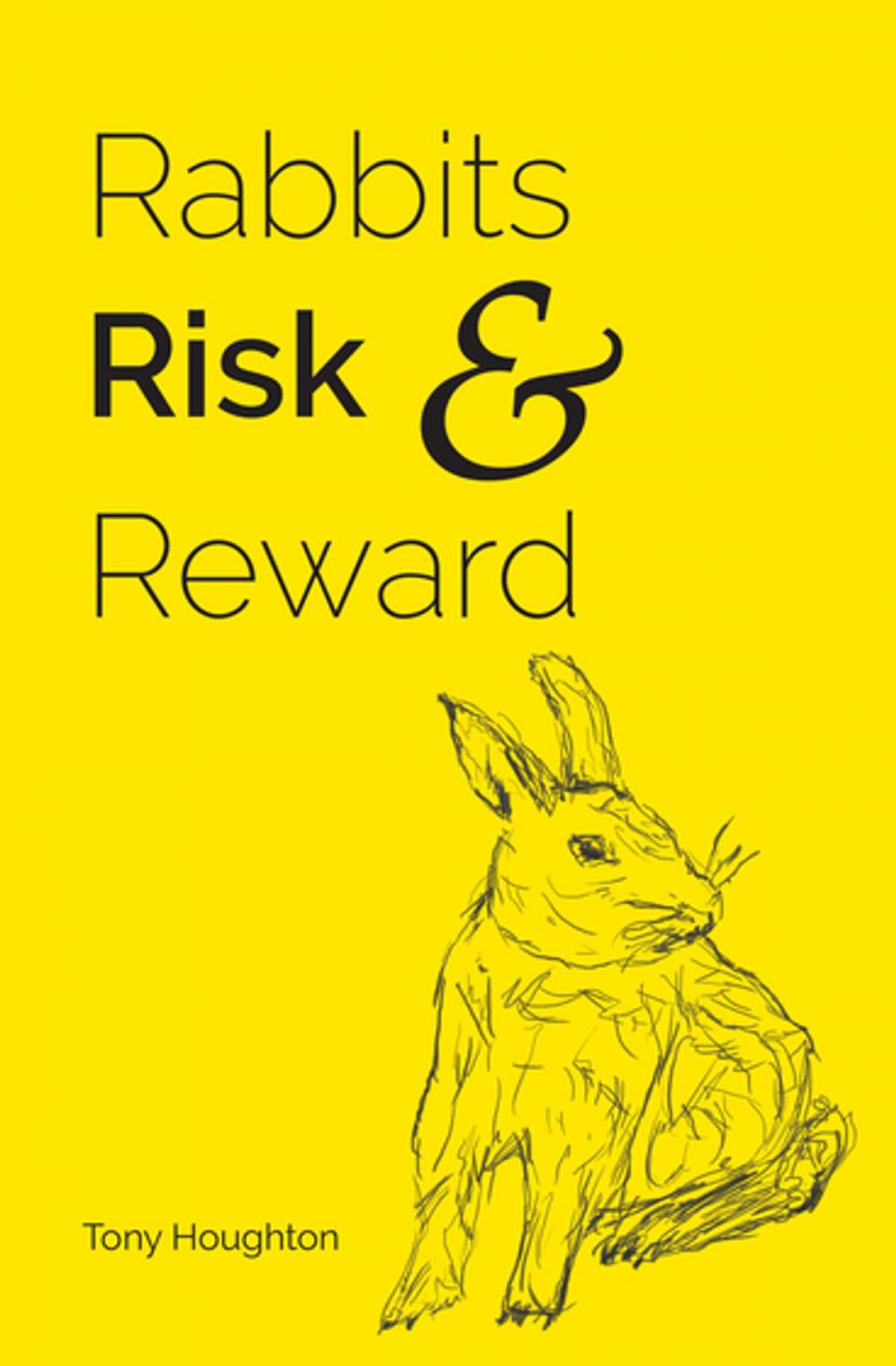 Big bigCover of Rabbits Risk & Reward