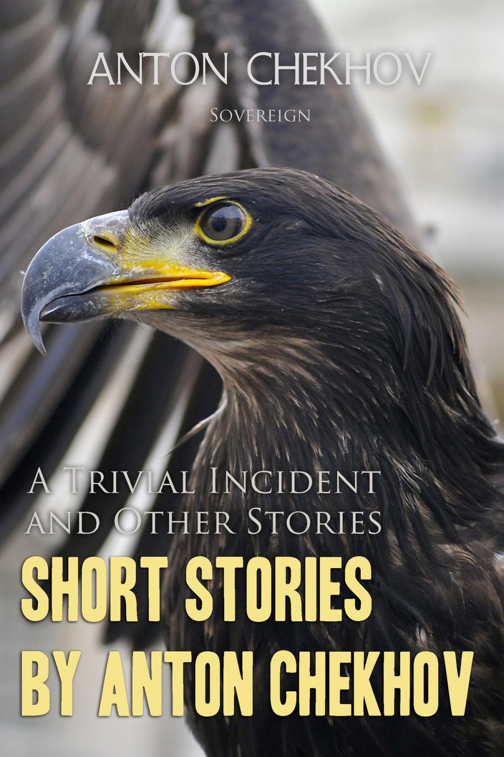 Big bigCover of Short Stories by Anton Chekhov