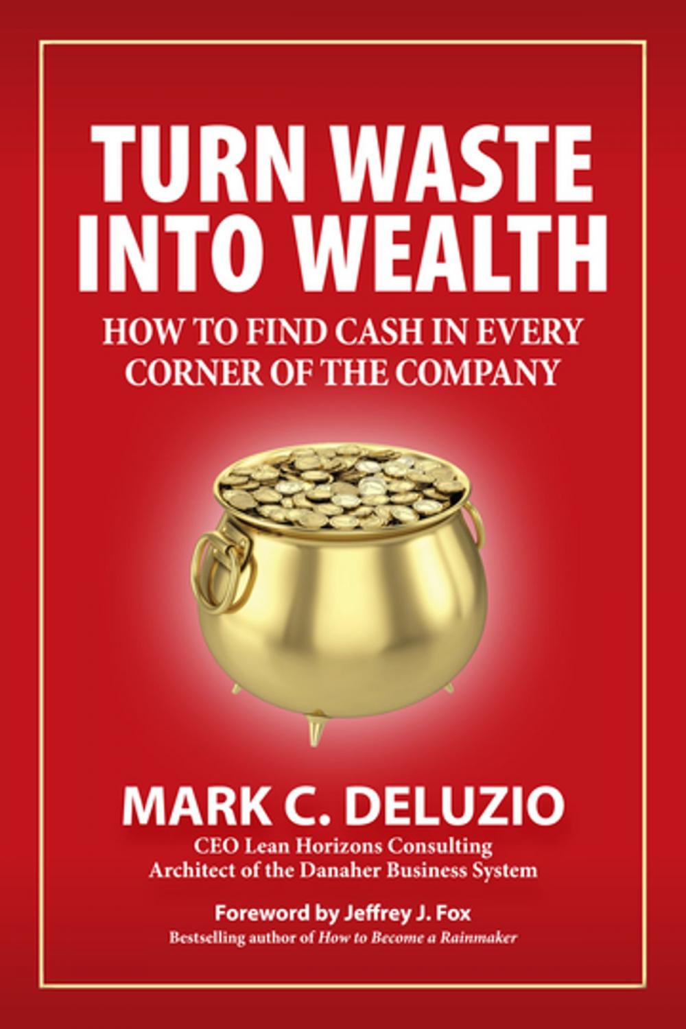 Big bigCover of Turn Waste into Wealth