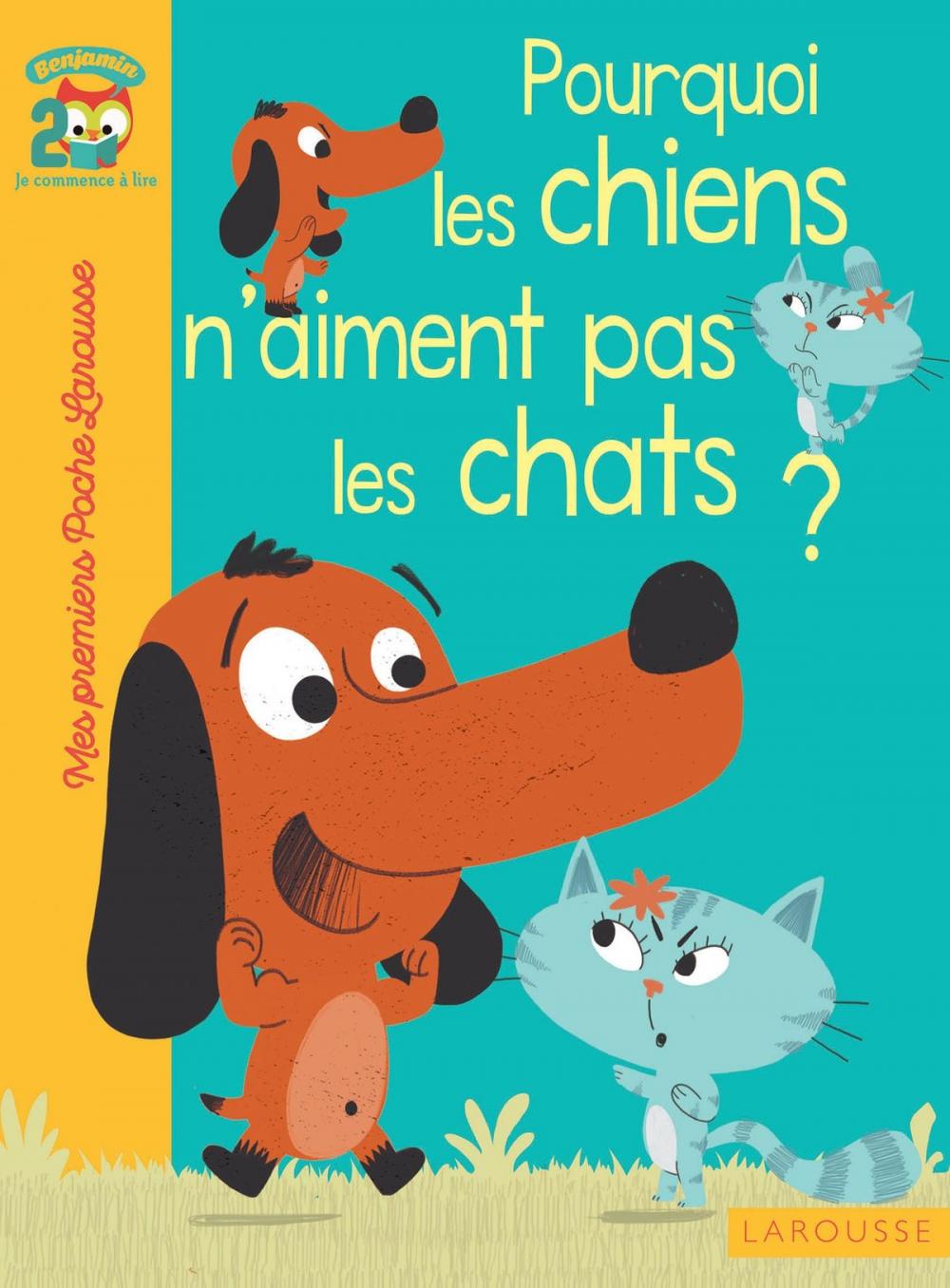 Big bigCover of Pourquoi les chiens n'aiment pas les chats ?