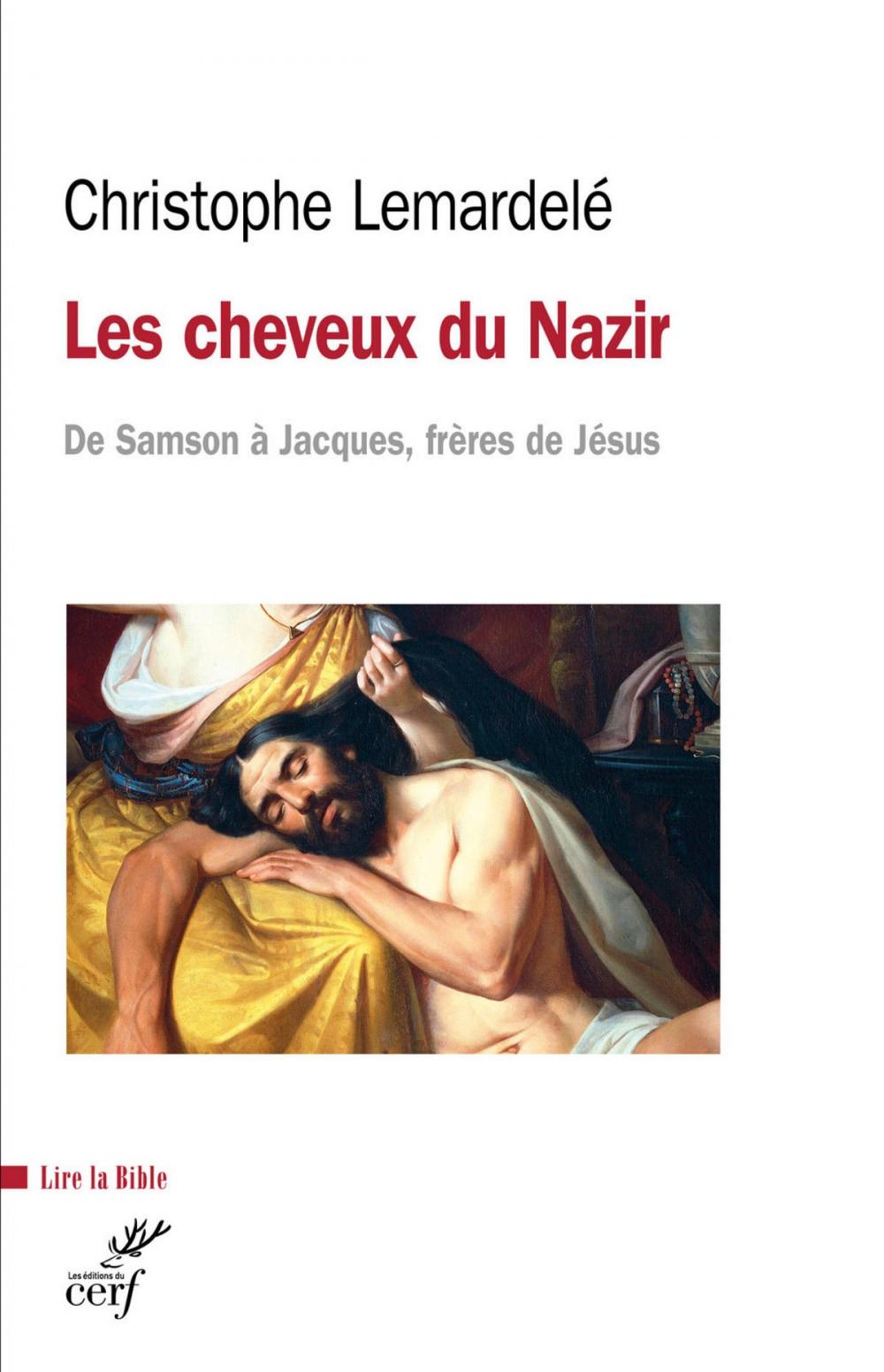 Big bigCover of Les cheveux du Nazir