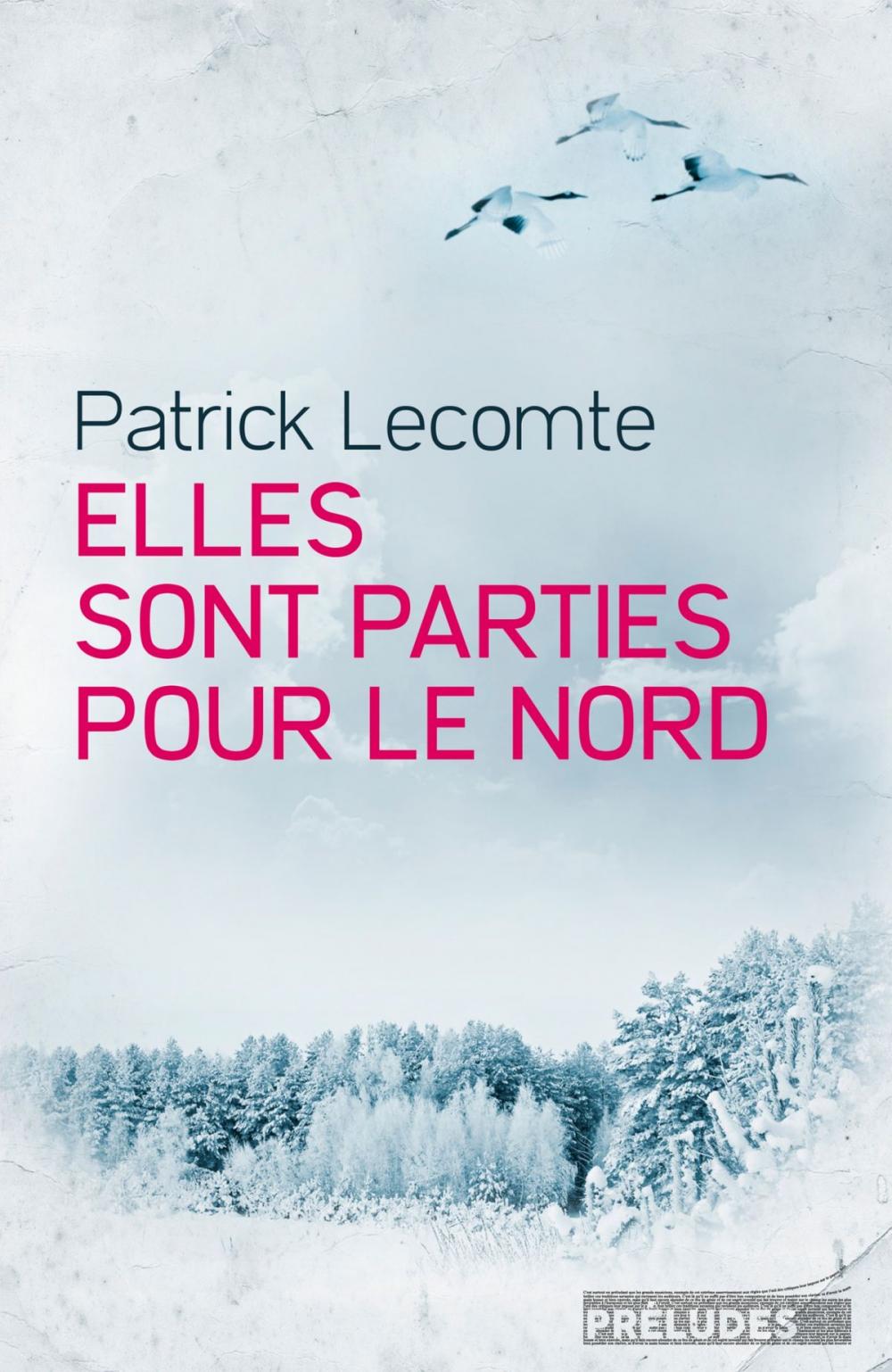 Big bigCover of Elles sont parties pour le Nord