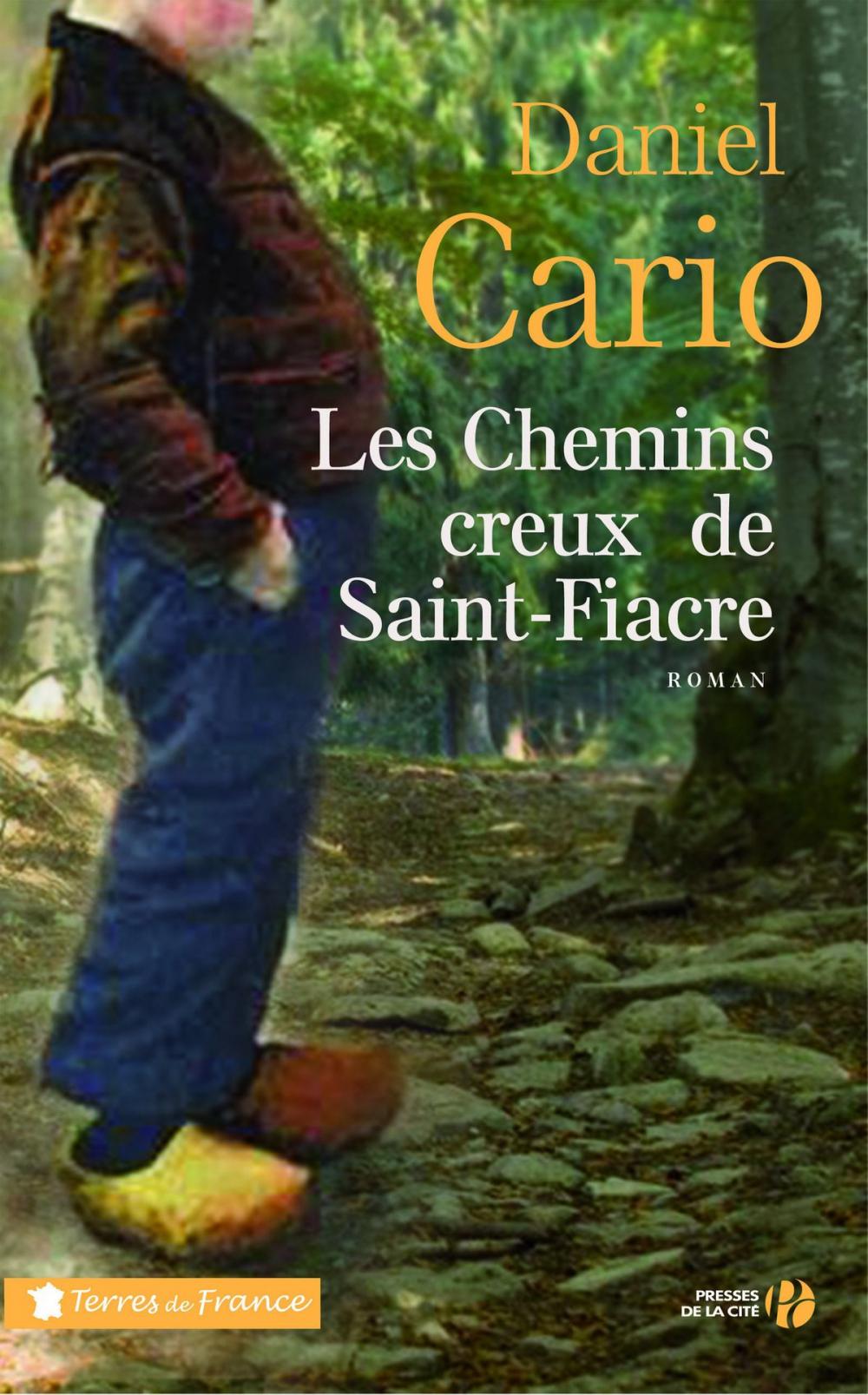 Big bigCover of Les chemins creux de Saint-Fiacre