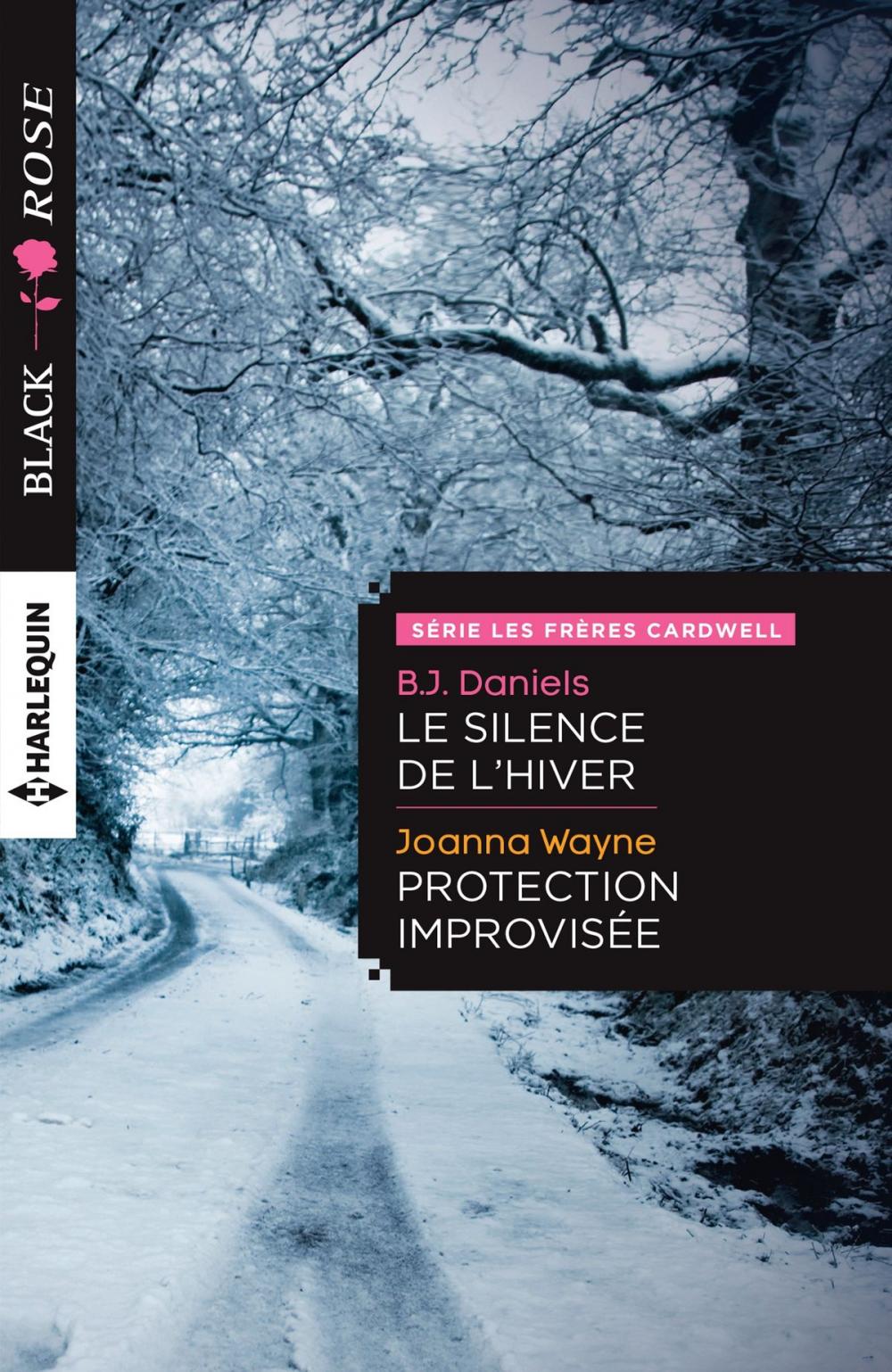 Big bigCover of Le silence de l'hiver - Protection improvisée