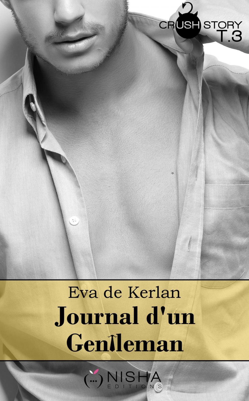 Big bigCover of Journal d'un gentleman - tome 3 La retenir