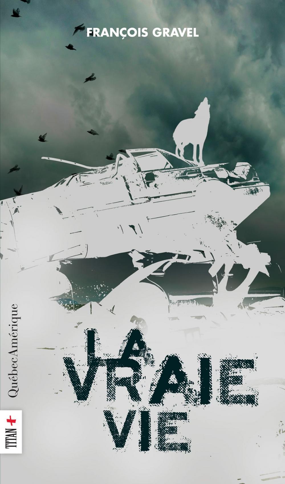 Big bigCover of La Vraie Vie