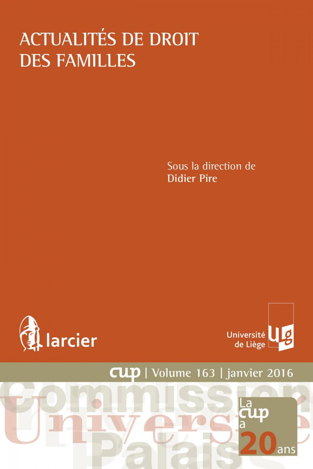 Big bigCover of Actualités de droit des familles