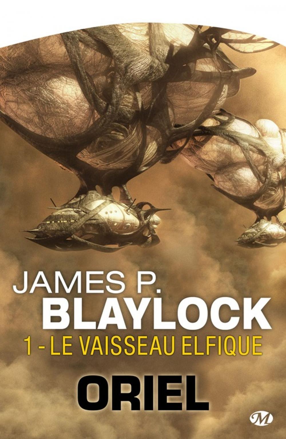 Big bigCover of Le Vaisseau elfique