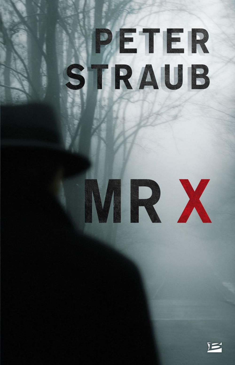 Big bigCover of Mr X