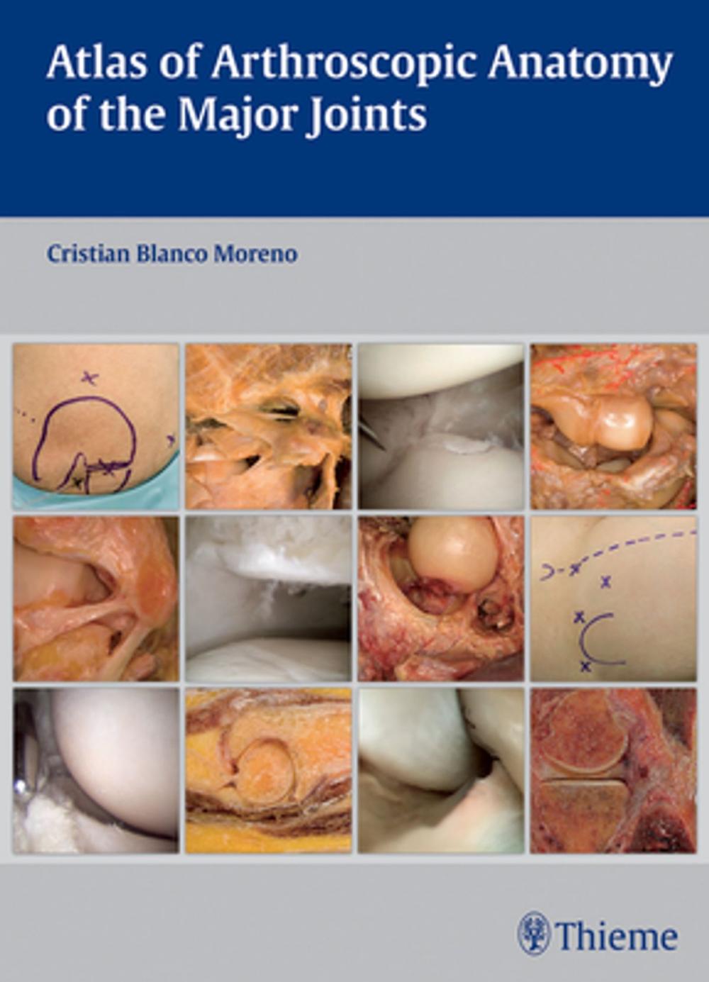 Big bigCover of Atlas of Arthroscopic Anatomy of Major Joints