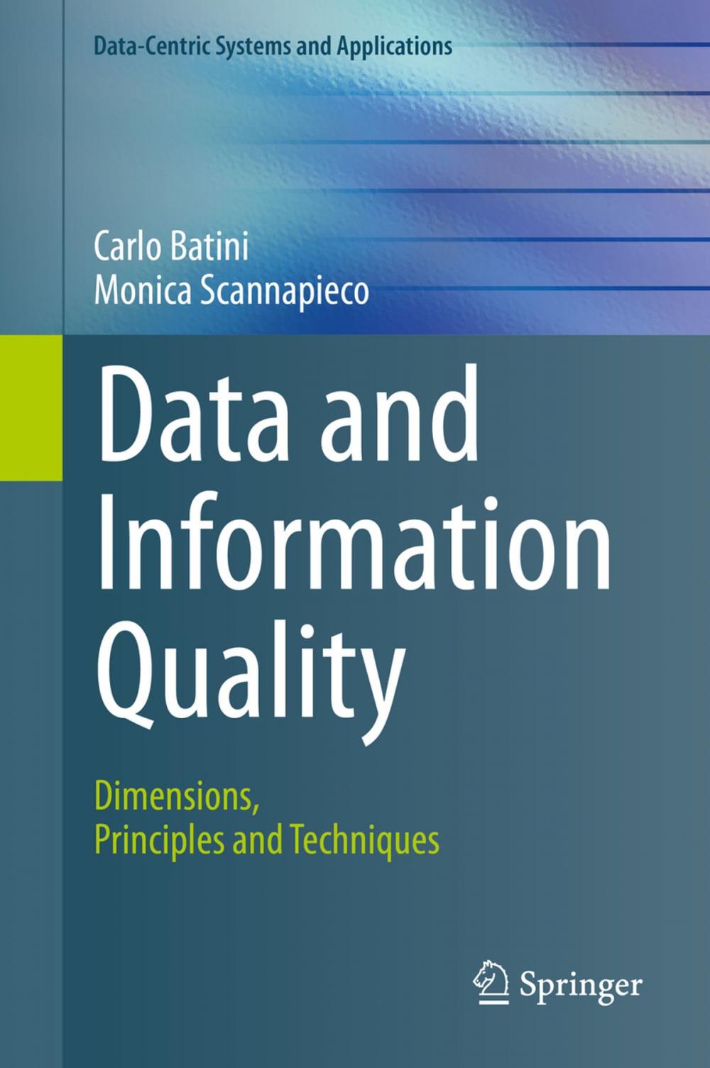 Big bigCover of Data and Information Quality