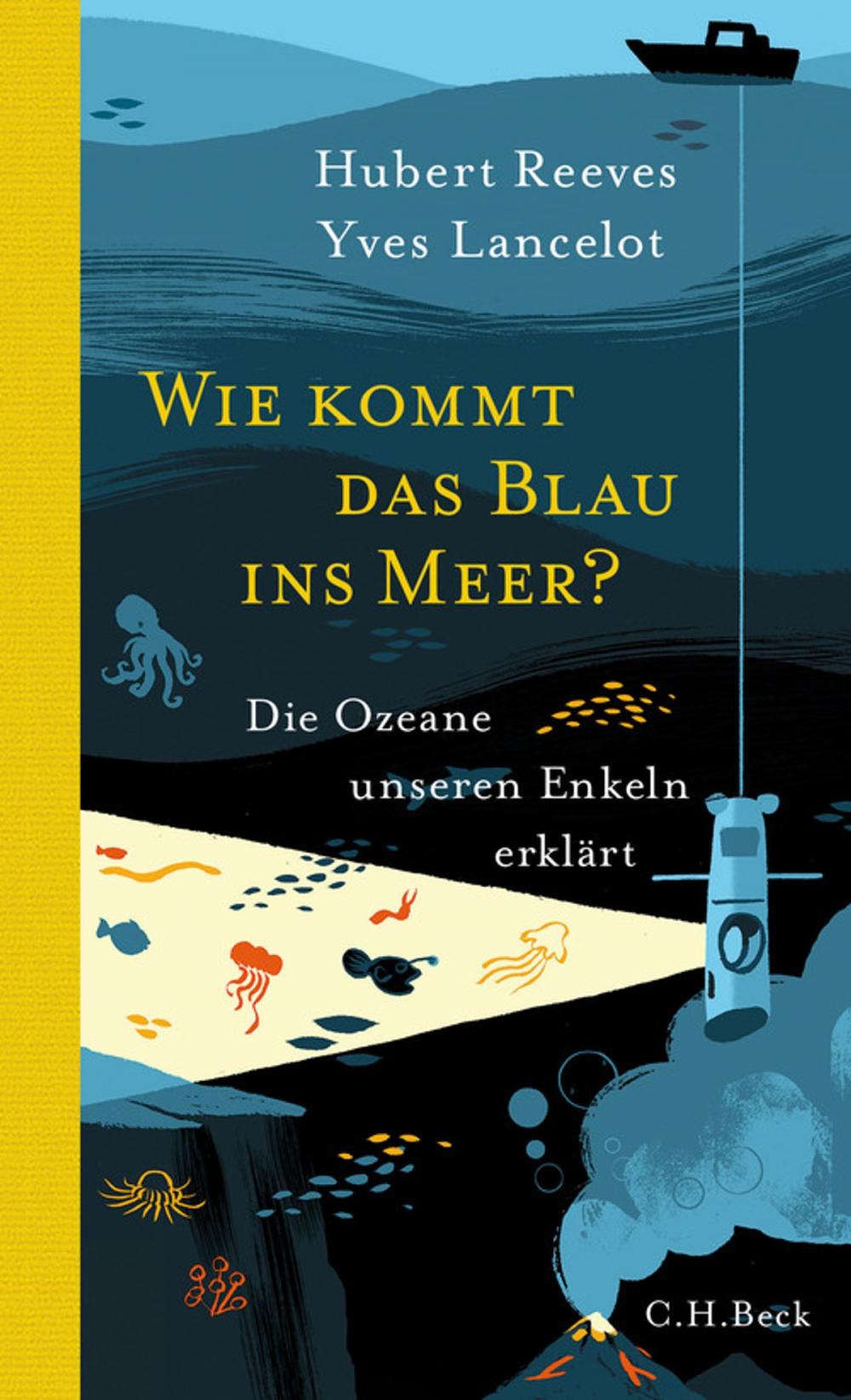 Big bigCover of Wie kommt das Blau ins Meer?