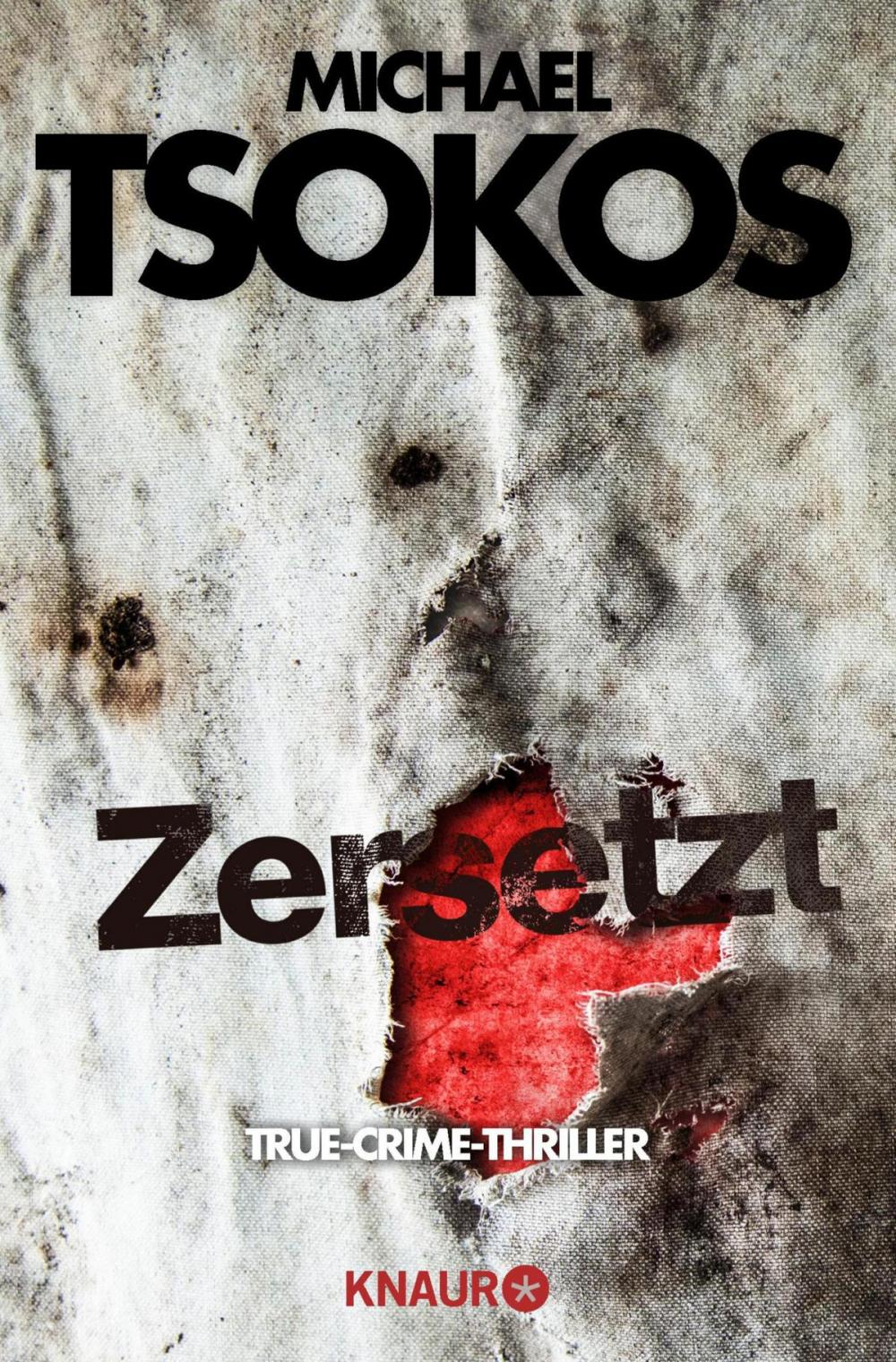 Big bigCover of Zersetzt