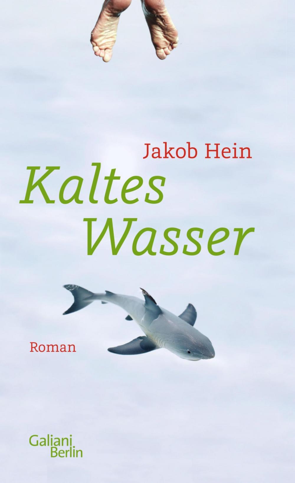 Big bigCover of Kaltes Wasser