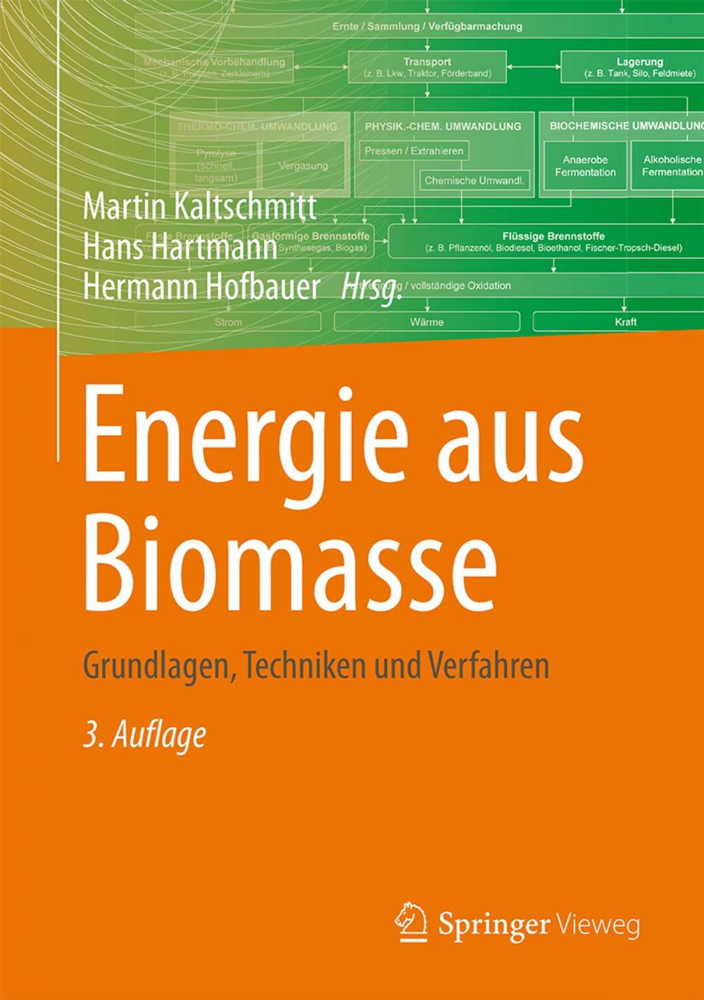 Big bigCover of Energie aus Biomasse