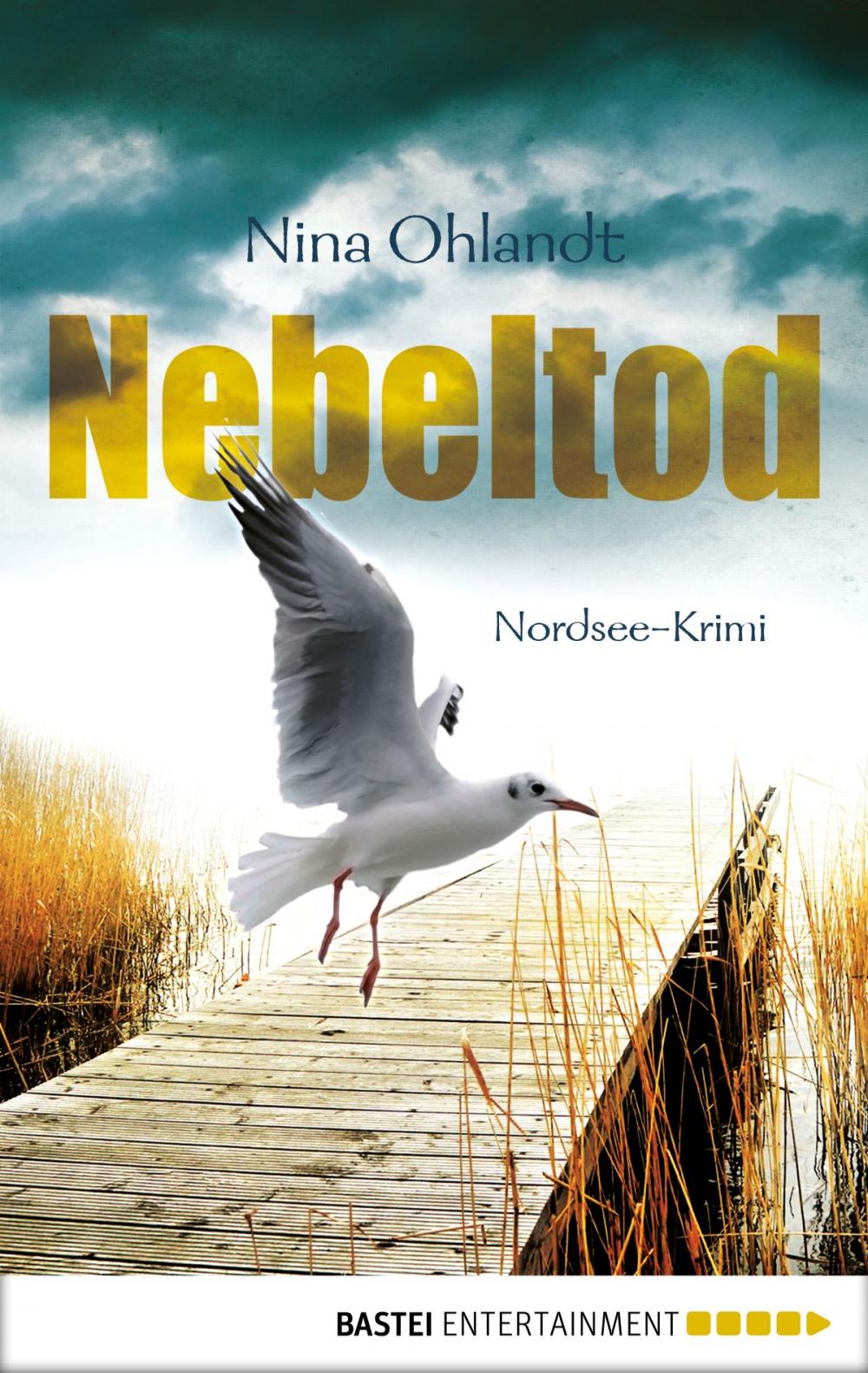 Big bigCover of Nebeltod