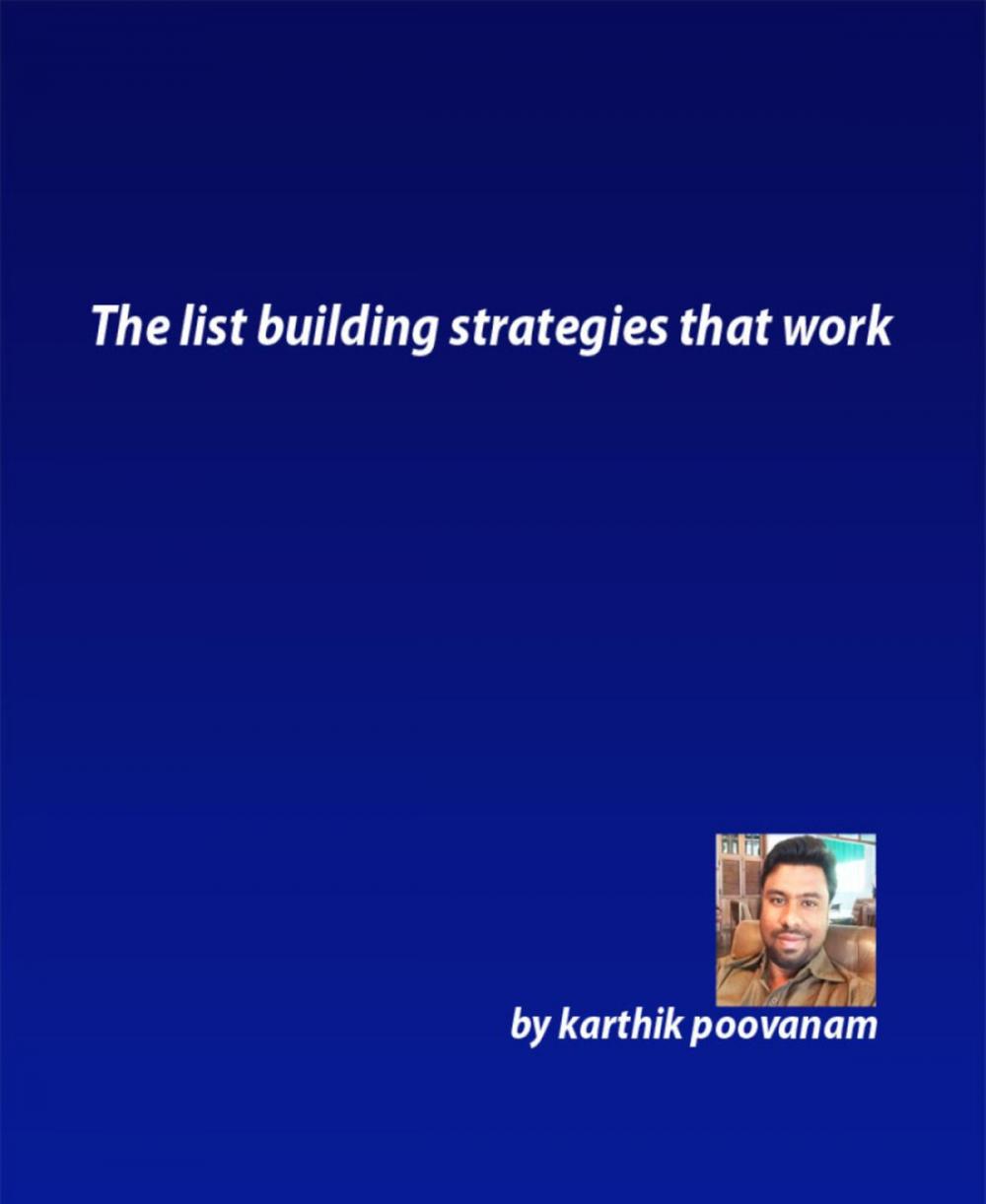 Big bigCover of The list building strategies that work