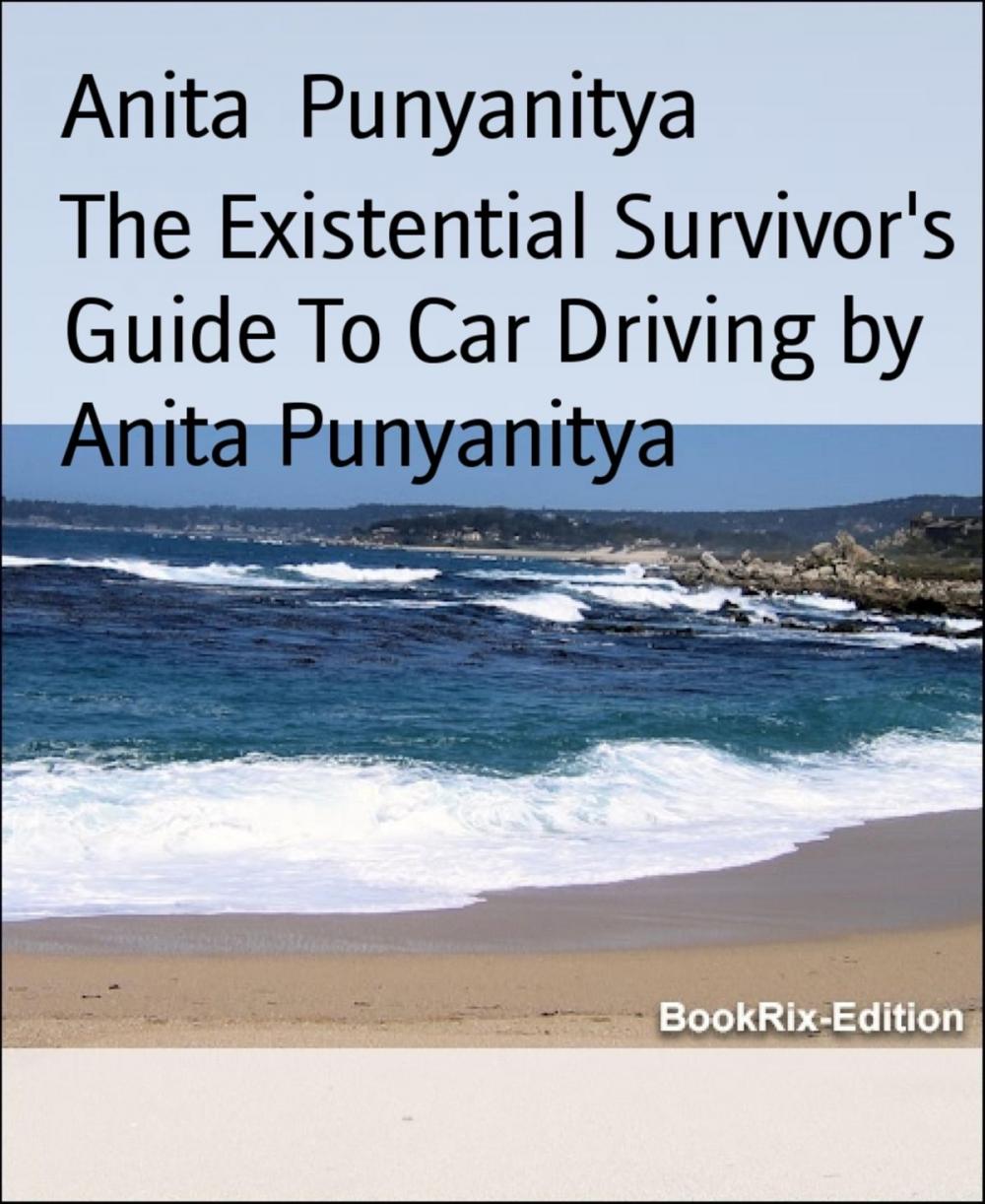 Big bigCover of The Existential Survivor's Guide To Car Driving by Anita Punyanitya