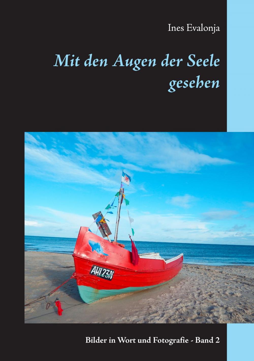 Big bigCover of Mit den Augen der Seele gesehen