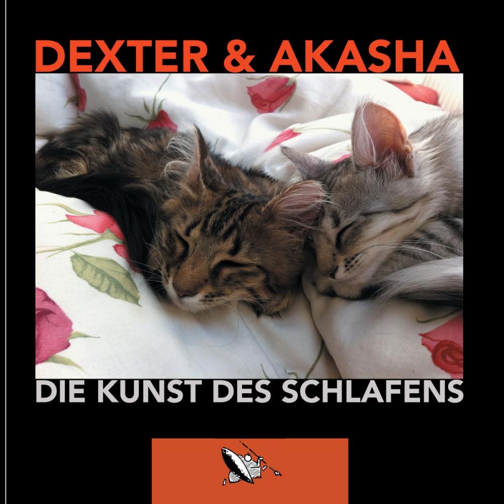 Big bigCover of Die Kunst des Schlafens