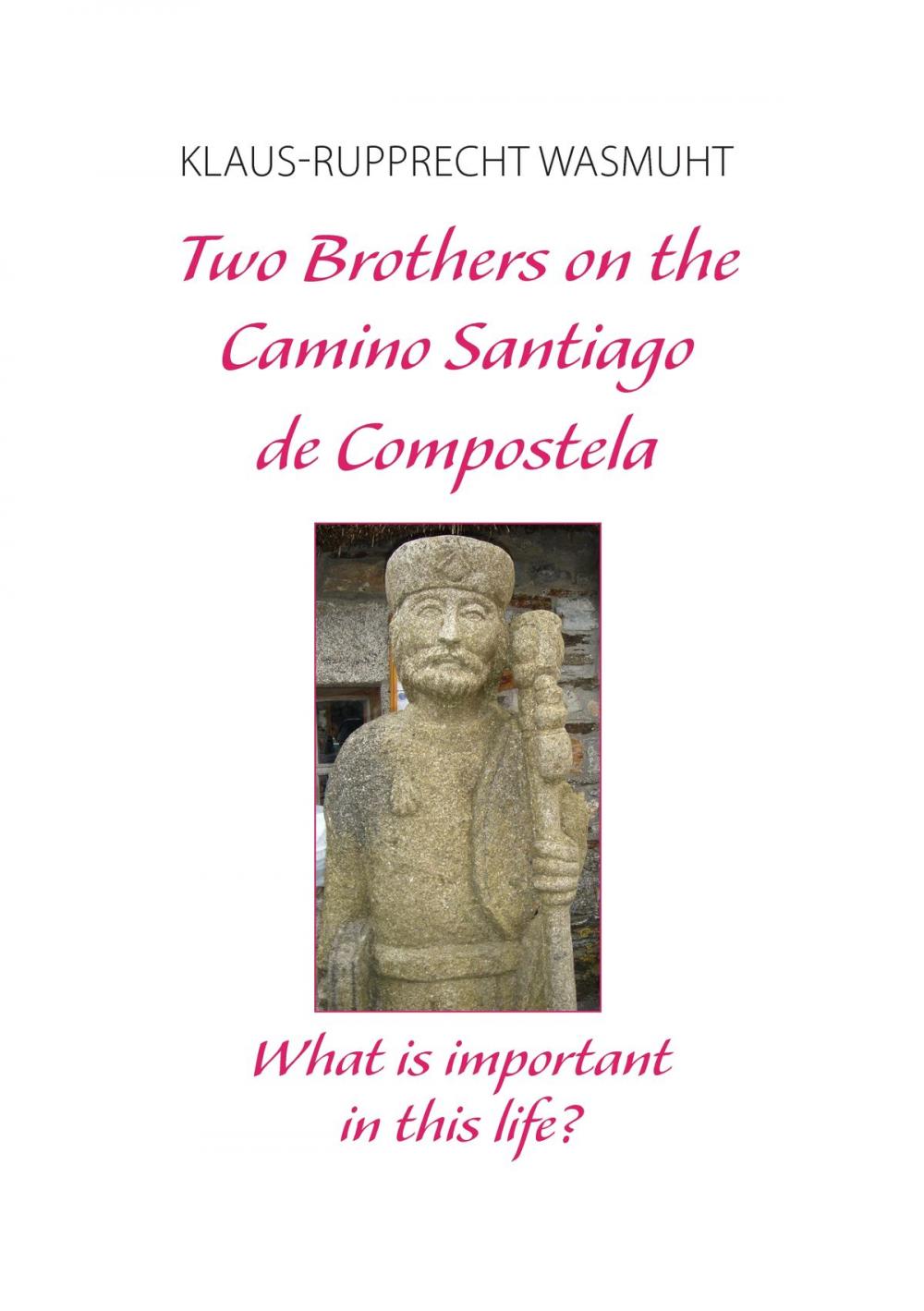 Big bigCover of Two Brothers on the Camino Santiago de Compostela