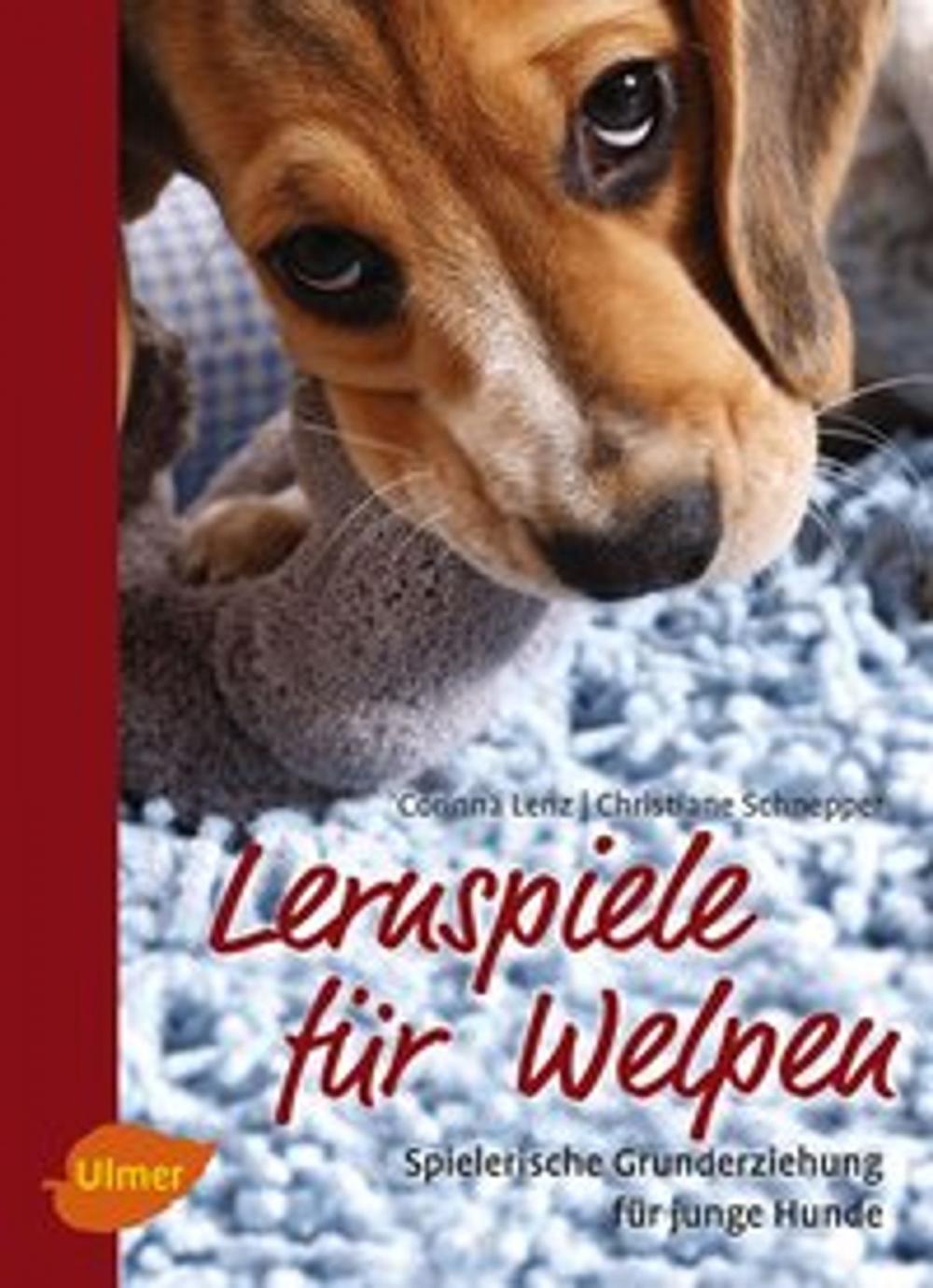 Big bigCover of Lernspiele für Welpen