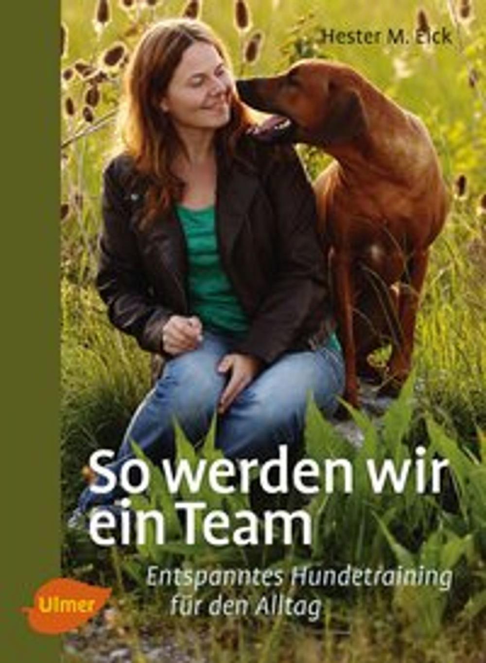 Big bigCover of So werden wir ein Team