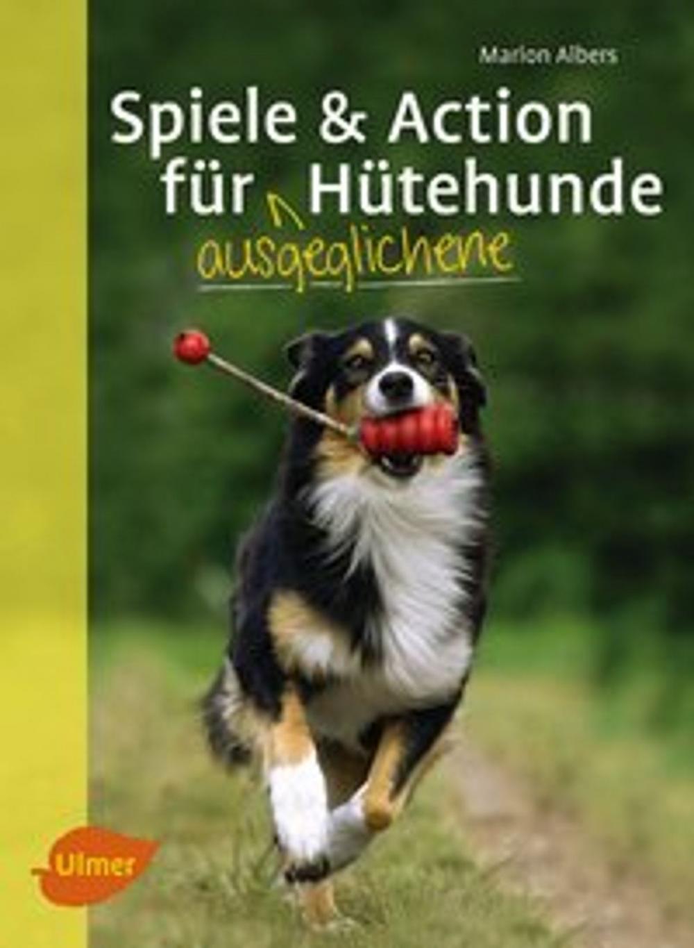 Big bigCover of Spiele und Action für ausgeglichene Hütehunde