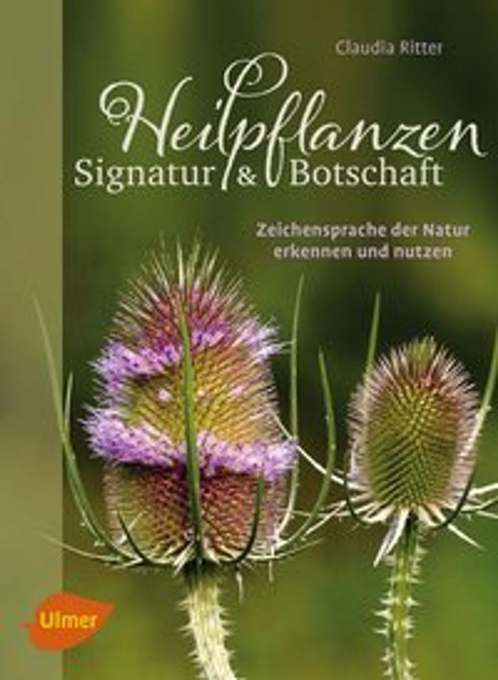 Big bigCover of Heilpflanzen. Signatur und Botschaft