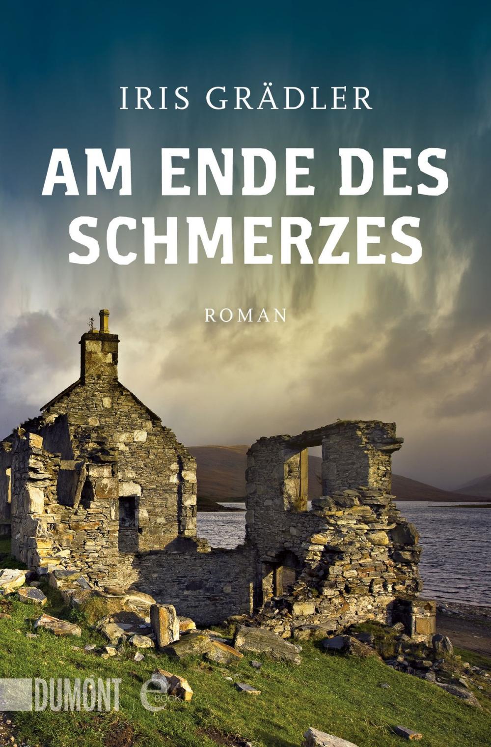 Big bigCover of Am Ende des Schmerzes