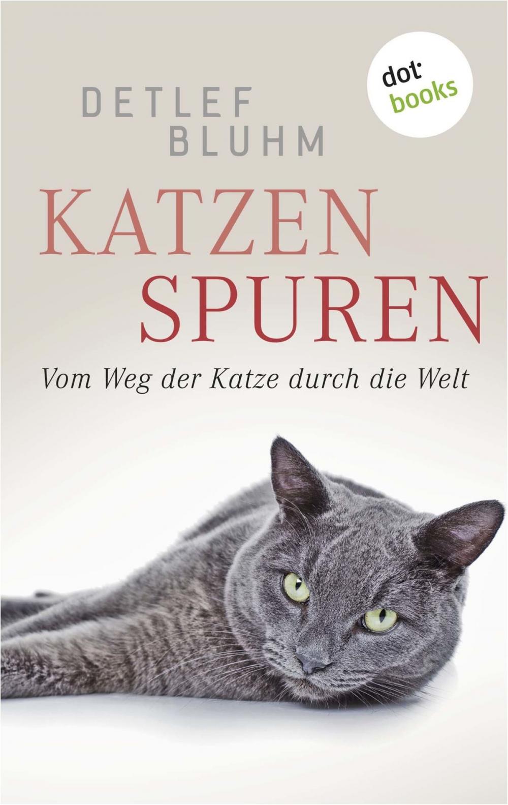 Big bigCover of Katzenspuren