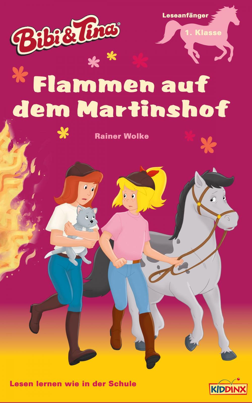 Big bigCover of Bibi & Tina - Flammen auf dem Martinshof