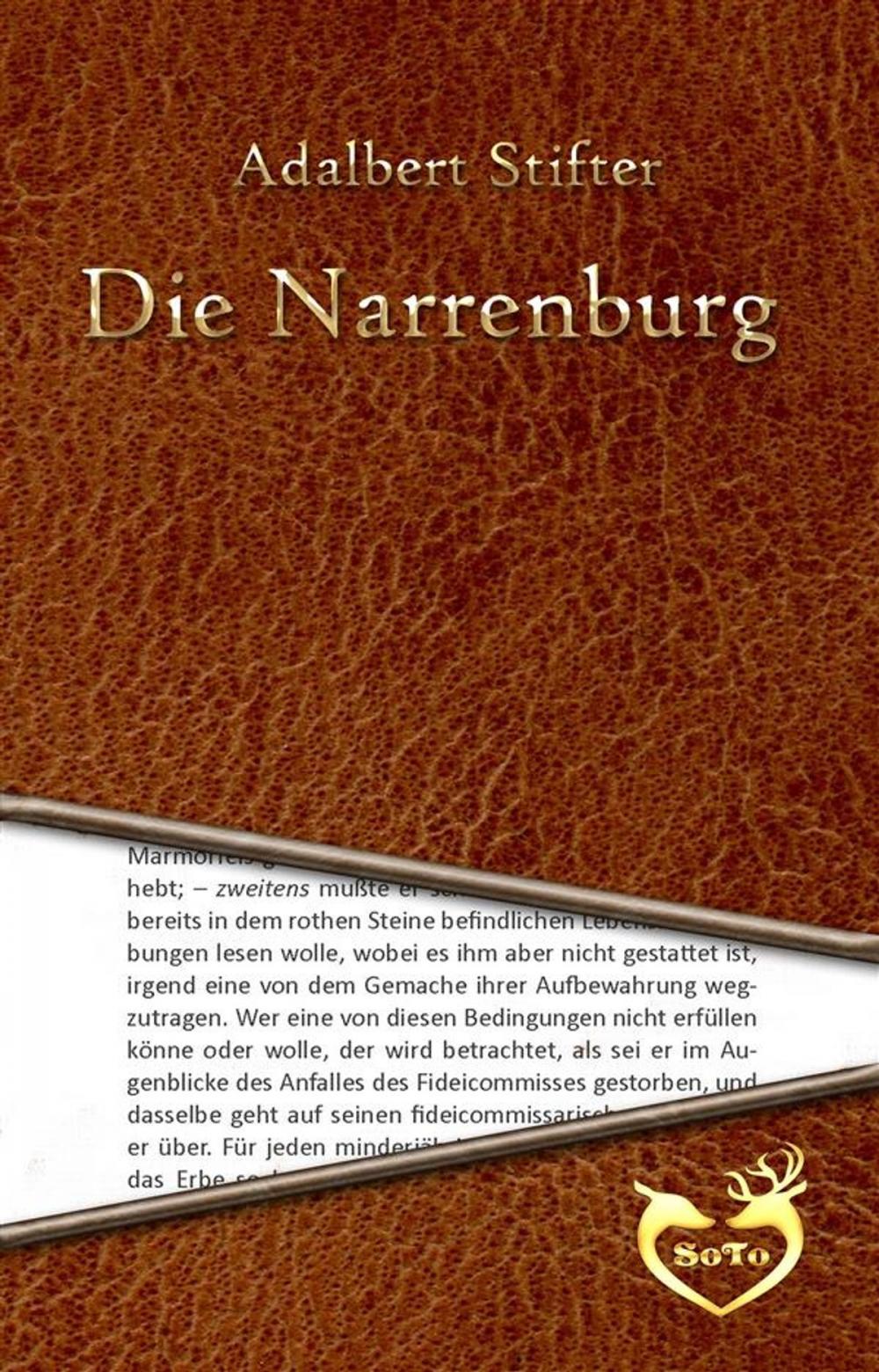 Big bigCover of Die Narrenburg