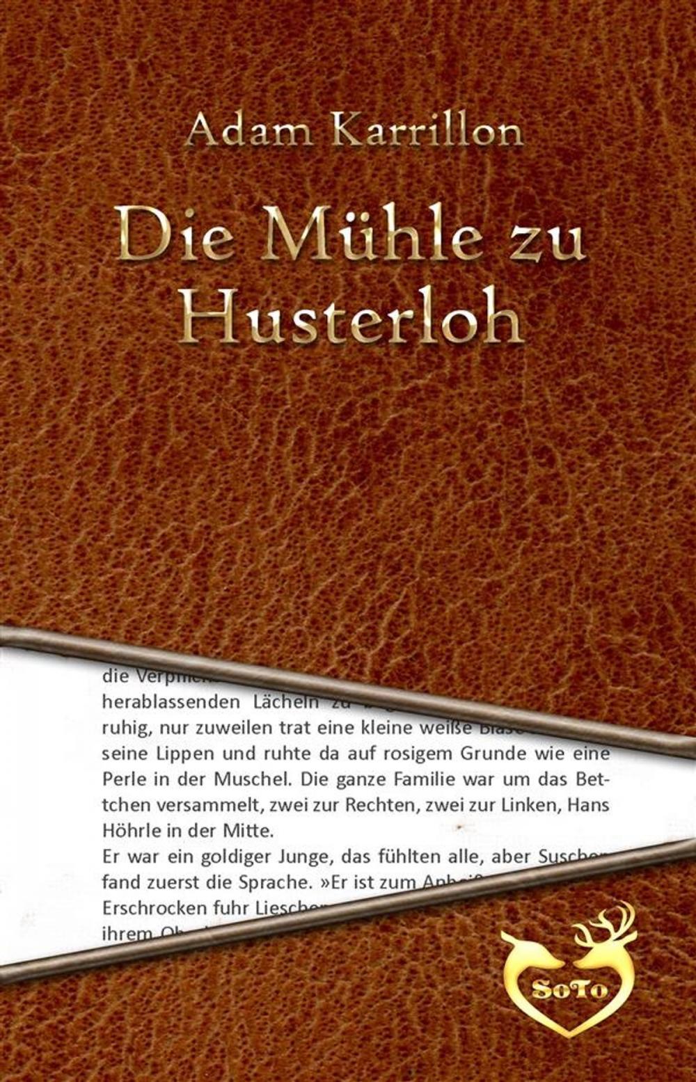 Big bigCover of Die Mühle zu Husterloh