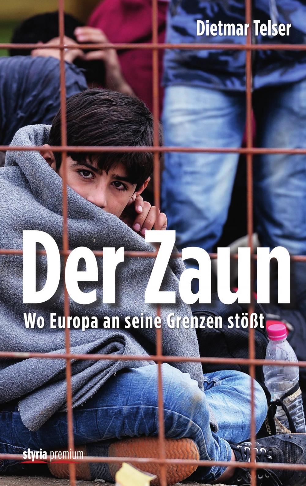 Big bigCover of Der Zaun